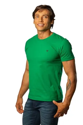 CAMISETA LAPIDARIO BASICA ELITE VERDE P
