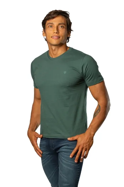CAMISETA LAPIDARIO GOLA C