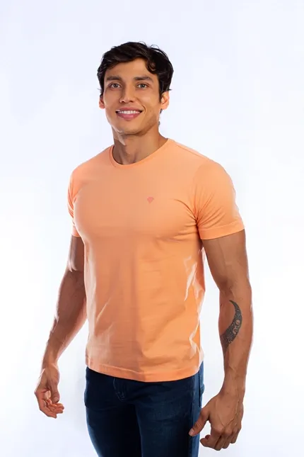 CAMISETA LAPIDÁRIO BÁSICA 100% ALGODÃO
