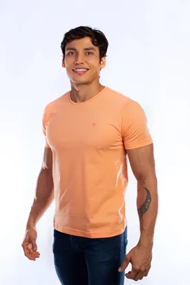 CAMISETA LAPIDÁRIO BÁSICA 100% ALGODÃO LARANJA P