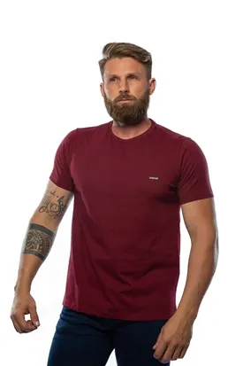CAMISETA LAPIDARIO BASICA BORDO M