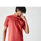 POLO LACOSTE BASICA PIQUET