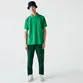 POLO LACOSTE BASICA PIQUET