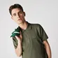 POLO LACOSTE BASICA PIQUET