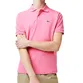 POLO LACOSTE BASICA PIQUET