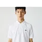 POLO LACOSTE BASICA PIQUET