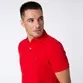 POLO TOMMY HILFIGER MASCULINA CUSTOM FIT COUPE SUR MESURE