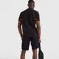 POLO TOMMY HILFIGER MASCULINA COLORBLOCK LOGO