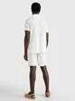 POLO TOMMY HILFIGER GRAPHIC REGULAR