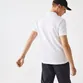 POLO LACOSTE MASCULINA DETALHE LATERAL