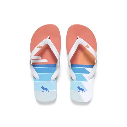 CHINELO ACOSTAMENTO MASCULINO