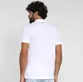 POLO LACOSTE MASCULINA DETALHE COR