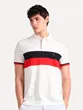 POLO TH MASC REGULAR COLOURBLOCK