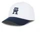 BONE TH BRUSHED 6 PANEL