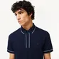 POLO LACOSTE CORE ESSENTIALS FRISO MANGA E GOLA