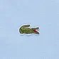 POLO LACOSTE COLOR BLOCK ELEVATED