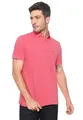 POLO TH IVY SHIRT CF BASI