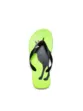 CHINELO ACOSTAMENTO MASCULINO