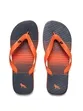 CHINELO MASC FLIP FLOP