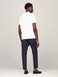 POLO TH PALM PLACEMENT PRINT REGULAR