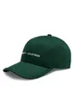 BONE TH  SKYLINE COTTON 6 PANEL