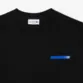 CAMISETA LACOSTE MASC MALHA ENCORPADA