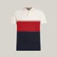 POLO TH MASC COLORBLOCK REGULAR