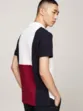POLO TH BIG FLAG REGULAR