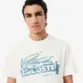CAMISETA MASCULINA LACOSTE TINTA