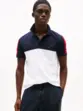 POLO TH COLORBLOCK REG