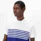 POLO TH BLOCKING REG