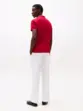 POLO TH ICON REG