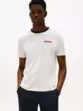 CAMISETA TH AMERICANA GRAPHIC