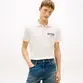 POLO TH MASC ARCH GRAPHIC LEFT