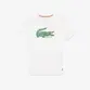 CAMISETA LACOSTE EDICAO ROLAND-GARROS