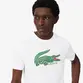 CAMISETA LACOSTE EDICAO ROLAND-GARROS